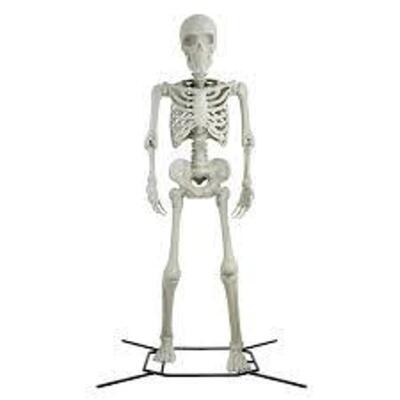 DESCRIPTION: (1) GIANT YARD SKELETON BRAND/MODEL: 2231-10442 SIZE: 10' RETAIL$: $299.99 EA QTY: 1