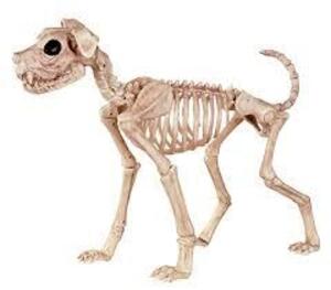 DESCRIPTION: (1) SKELETON DOG BRAND/MODEL: MORRIS COSTUMES RETAIL$: $69.98 EA QTY: 1