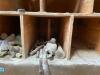 ASSORTED CONCRETE CORING PARTS, TOOLS AND HARDWARE - 4