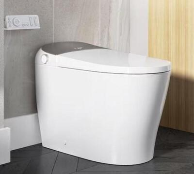 Tankless Elongated Smart Toilet Bidet in White with Auto Flush, Heated Seat, Warm Air Dryer, Bubble Infusion Wash