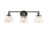 Evelyn 26.75 in. 3-Light Artisan Bronze Industrial Vanity with Clear Glass Shades