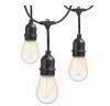 Outdoor 48 ft. Plug-in S14 Edison Bulb Weatherproof String Light with 16 Edison LED Light Bulbs, 2700K, Black