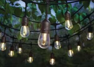 24-Light 48 ft. Indoor/Outdoor String Light with S14 Single Filament LED Bulbs