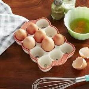 DESCRIPTION: (1) EGG HOLDER BRAND/MODEL: PIONEER WOMAN RETAIL$: $12.98 EA QTY: 1