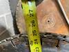 (6) 24" CONCRETE SAW BLADES - 3