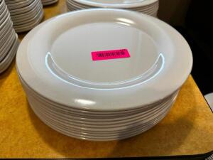 DESCRIPTION (12) 12" PLASTIC PLATES THIS LOT IT: SOLD BY THE PIECE SIZE 12" LOCATION FRONT QTY 12