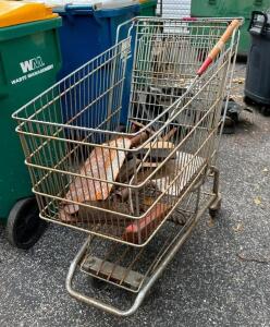 SHOPPING CART WITH CONTENTS