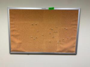 WALL MOUNTED CORKBOARD