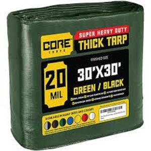 DESCRIPTION: (1) THICK TARP BRAND/MODEL: CORE #CT-703-30X30 INFORMATION: GREEN SIZE: 30' X 30' RETAIL$: $222.99 EA QTY: 1