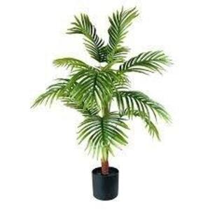 DESCRIPTION: (1) ARTIFICIAL PALM PLANT BRAND/MODEL: MAINSTAYS SIZE: 40 IN RETAIL$: $30.00 EA QTY: 1