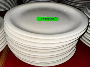 (10) 9.5" CHINA PLATES.