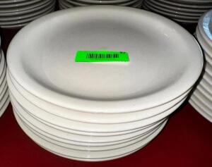 (10) 9.5" CHINA PLATES.