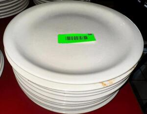 (10) 9.5" CHINA PLATES.