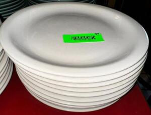 (10) 9.5" CHINA PLATES.