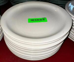 (10) 9.5" CHINA PLATES.