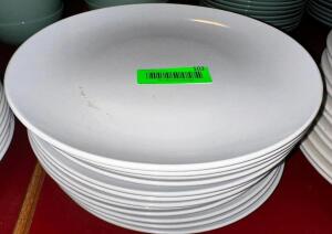 (12) 10.5" CHINA PLATES