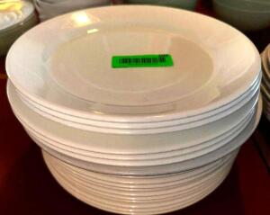 (12) 10" CHINA PLATES