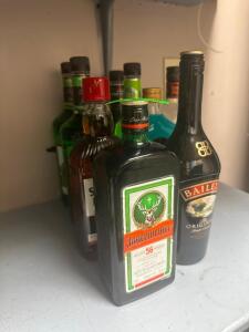 (10) - BOTTLES OF FLAVORED LIQUEUR