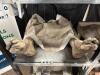 POISON PROPS MORGUE FOOT LOCKER ANIMATRONIC PROP - 3