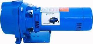 DESCRIPTION: (1) IRRIGATION SURFACE WATER WELL PUMP BRAND/MODEL: GOULDS WATER TECH #GT073TE INFORMATION: BLUE SIZE: 3/4 HP RETAIL$: $1045.00 EA QTY: 1