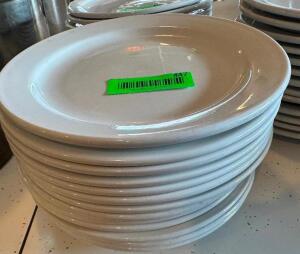 (12) 9" CHINA PLATES