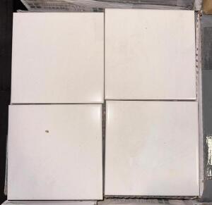 (500)- SQUARE FOOT OF BRITE WHITE TILES