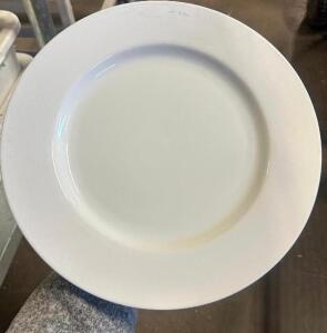 (20) 9" CHINA PLATES