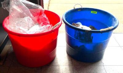 (2) LARGE PLASTIC BUCKETS