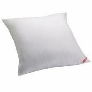 DESCRIPTION: ALLER-EASE COTTON ALLERGY PROTECTION EURO PILLOW BRAND/MODEL: ALLER EASE RETAIL$: $23.99 LOCATION: WAREHOUSE QTY: 1