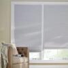 SHADOW WHITE CORDLESS BLACKOUT CELLULAR SHADE - 60 IN. W X 48 IN. L