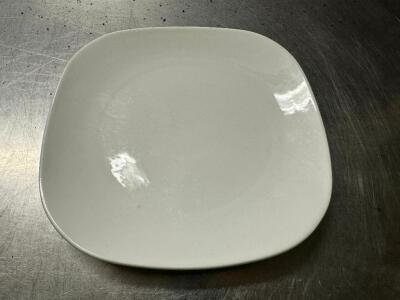 DESCRIPTION (12) 9" CHINA PLATES BRAND / MODEL: STEELITE INTERNATIONAL THIS LOT IS: SOLD BY THE PIECE SIZE 9" LOCATION BAY 6 QTY 12