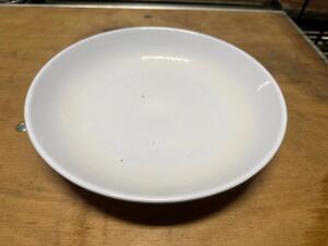 (24) 9" PLASTIC PLATES