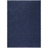 DESCRIPTION: (1) SOLID PLUSH SHAG AREA RUG BRAND/MODEL: MAINSTAYS #2583navy7x10 INFORMATION: NAVY RETAIL$: $91.16 QTY: 1