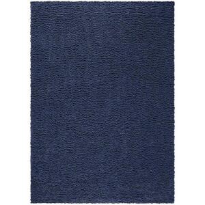 DESCRIPTION: (1) SOLID PLUSH SHAG AREA RUG BRAND/MODEL: MAINSTAYS #2583navy7x10 INFORMATION: NAVY RETAIL$: $91.16 QTY: 1