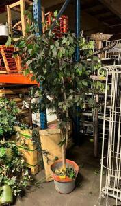 ARTIFICIAL PLANT