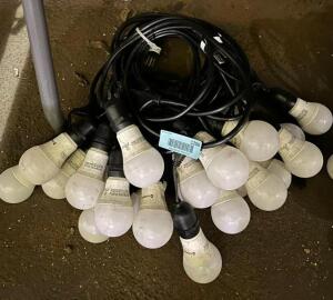 (2) SETS OF STRING LIGHTS