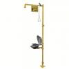 DESCRIPTION: (1) SHOWER WITH EYEWASH BRAND/MODEL: BRADLEY #6DGW9 INFORMATION: FLOOR MOUNT, COVERED, STAINLESS STEEL BOWL, GALVANIZED STEEL RETAIL$: $1