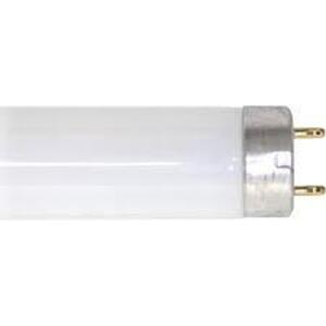 30W 36 IN. COOL WHITE T8 MEDIUM BI-PIN FLUORESCENT TUBE LIGHT BULB 545160 (12 PACK)