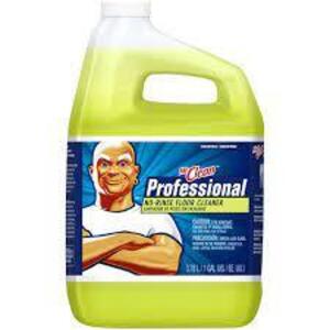 DESCRIPTION: (1) NO RINSE FLOOR CLEANER BRAND/MODEL: MR CLEAN PROFESSIONAL #G9102545 INFORMATION: FRESH FRAGRANCE RETAIL$: $28.00 EA SIZE: 1 GALLON QT